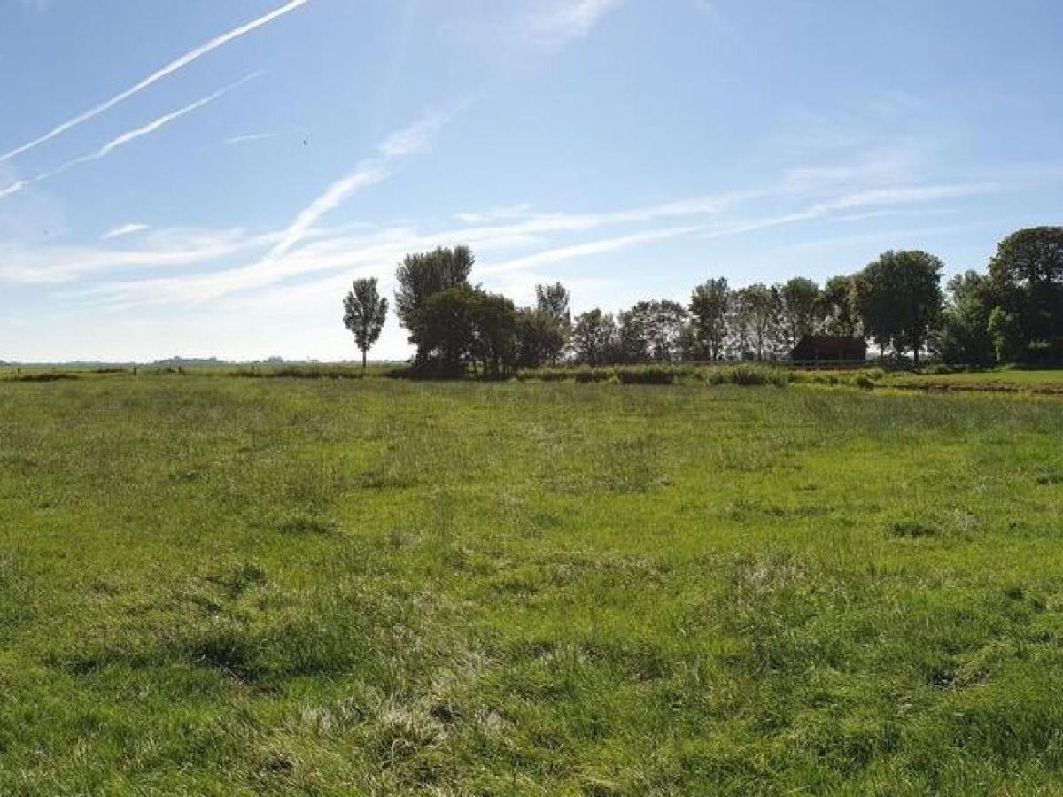 Charming House In Easterlittens On A Frisian Farm Wommels エクステリア 写真
