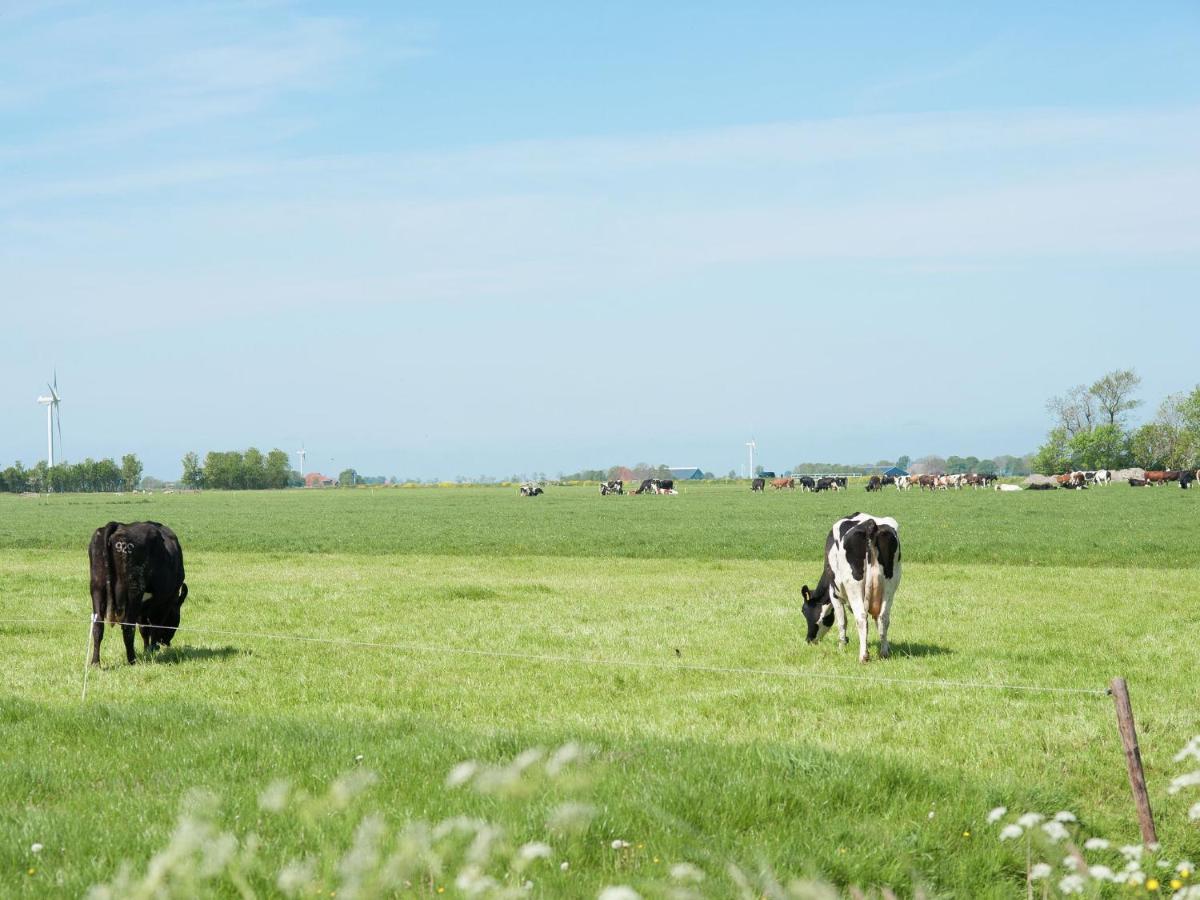 Charming House In Easterlittens On A Frisian Farm Wommels エクステリア 写真