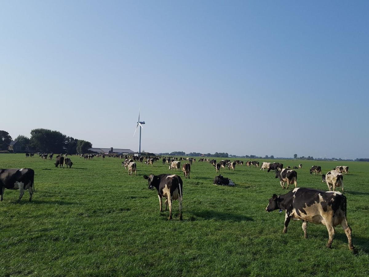 Charming House In Easterlittens On A Frisian Farm Wommels エクステリア 写真